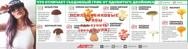 ГАЛЛЮЦИНОГЕННЫЕ ГРИБЫ Алексеевка
