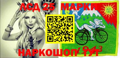 СК Вышний Волочёк