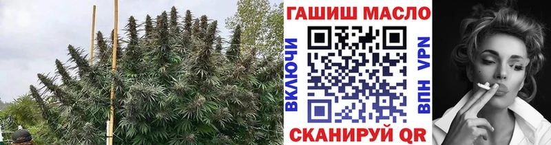 Дистиллят ТГК вейп  ссылка на мегу маркетплейс  Бугуруслан 