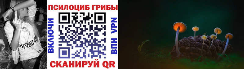 Псилоцибиновые грибы Magic Shrooms  Бугуруслан 