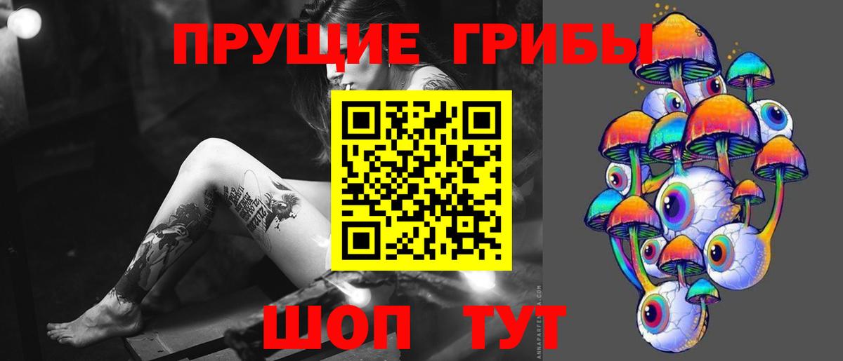Псилоцибиновые грибы Psilocybe Бугуруслан