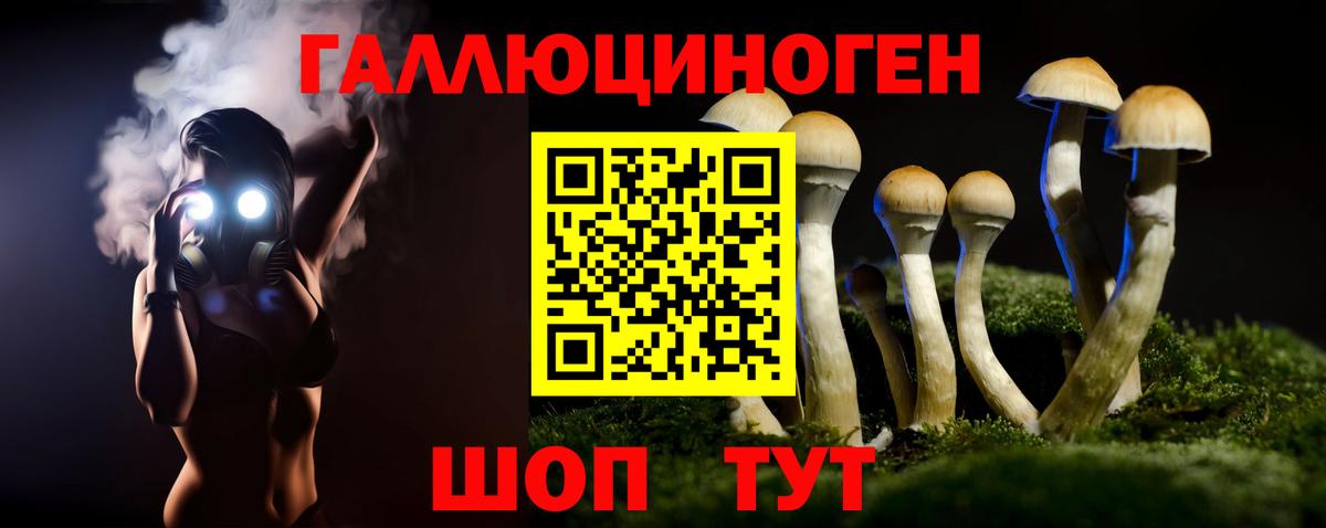 Бугуруслан  Псилоцибиновые грибы Psilocybine cubensis  Вход с VPN 